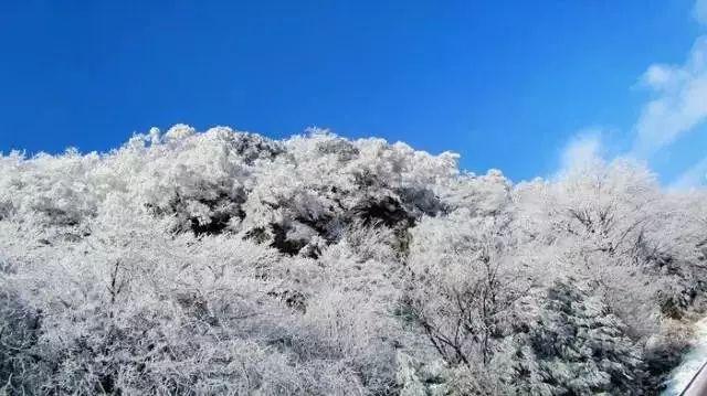 汽车摇窗电机行业报告:预计2029年全球汽车摇窗电机市场规模将达到28.3亿美元